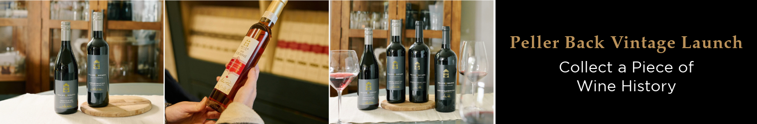 Shop Back Vintage Wines